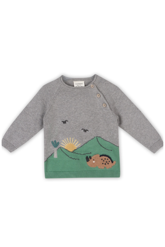Dinosaur Jacquard Knit Raglan Baby Sweater