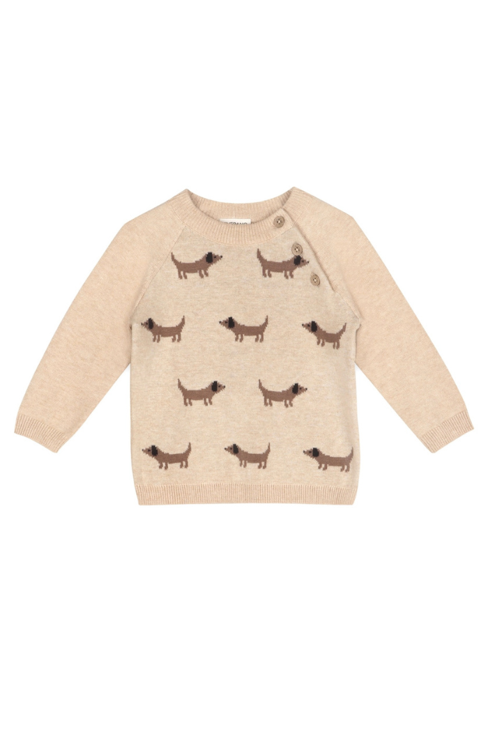 Doxie Dog Jacquard Knit Baby Raglan Pullover