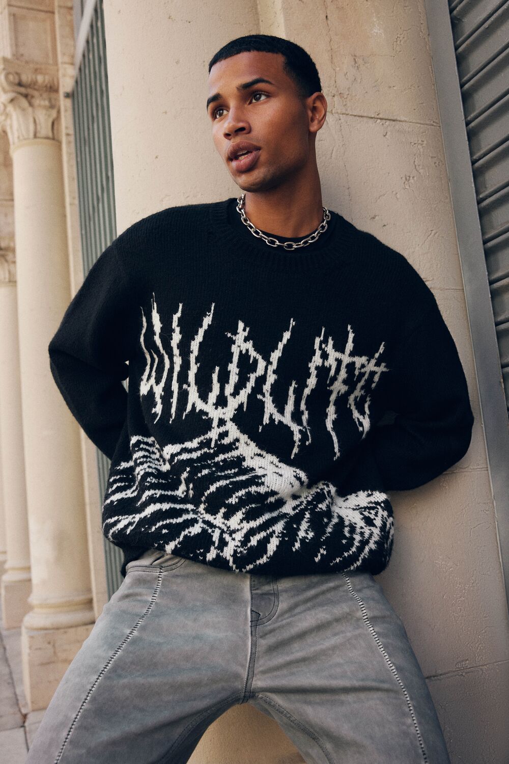 Wildlife Graphic Pullover