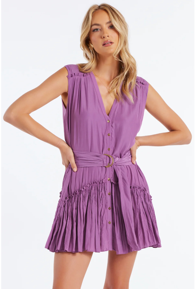 Violet Lagos Mini Dress