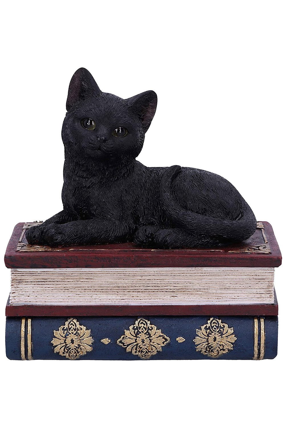 Black Cat Book Box